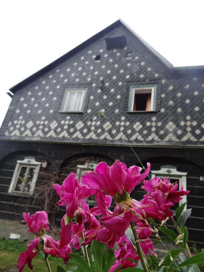 Prazdninovy Dum Nove Hrabeci Villa Sluknov Ngoại thất bức ảnh